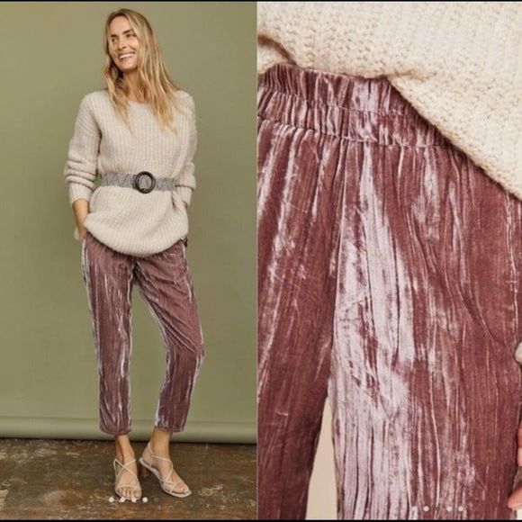 Anthropologie Pants - NWT Anthropologie Tina Jo Velvet Trousers Size S